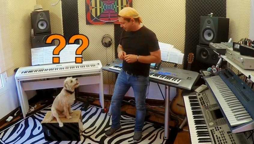 Niño & Hund Peanut im Musikstudio